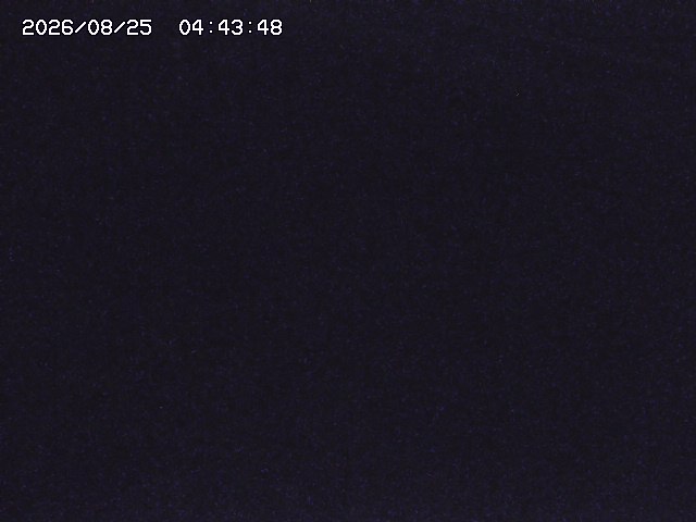 取得できませんでした