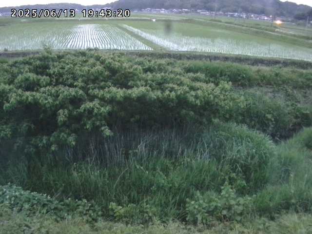 取得できませんでした
