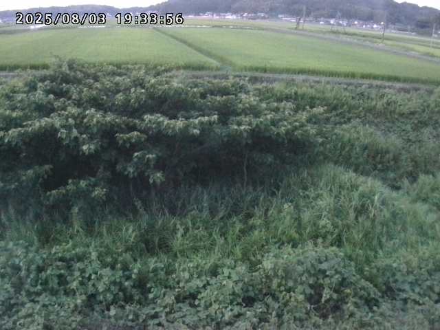 取得できませんでした