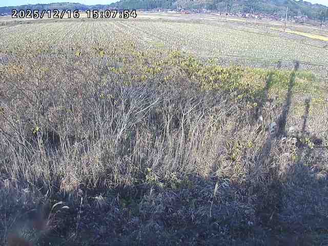 取得できませんでした