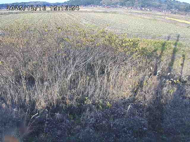 取得できませんでした