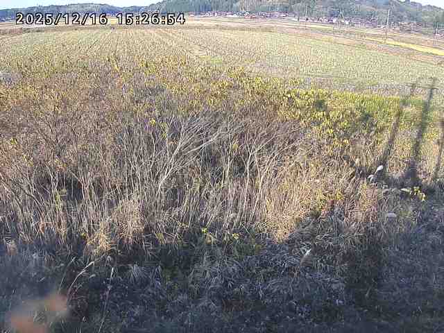 取得できませんでした