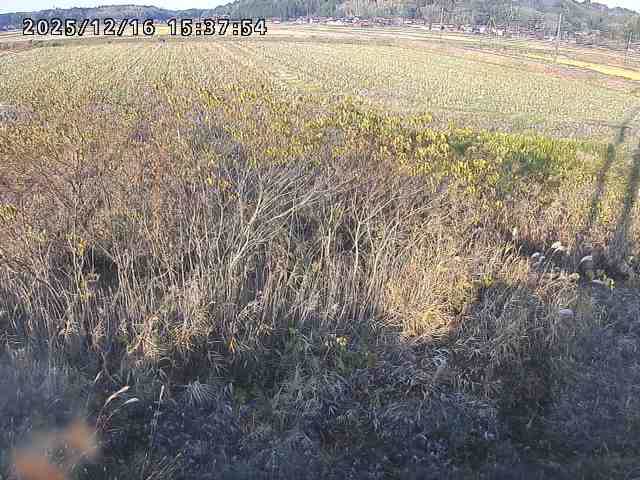 取得できませんでした