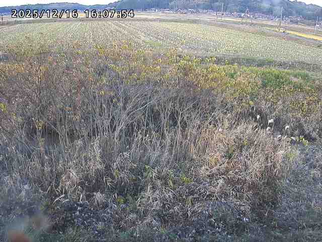 取得できませんでした