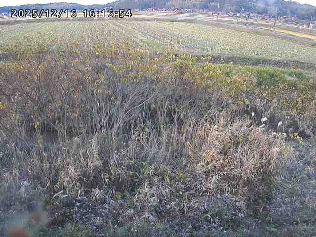 取得できませんでした