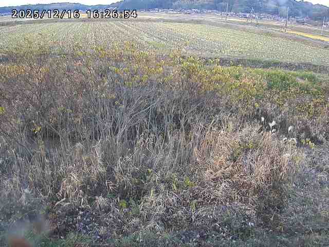 取得できませんでした