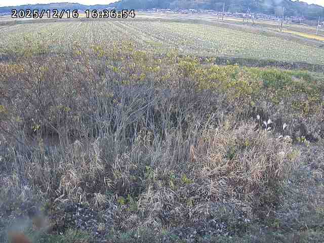 取得できませんでした