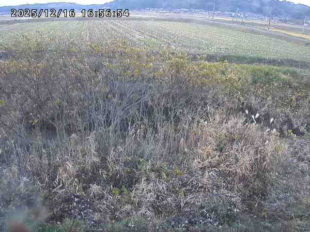 取得できませんでした