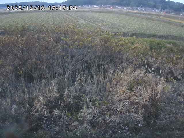 取得できませんでした