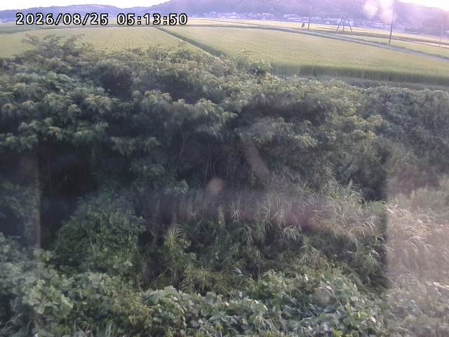 取得できませんでした