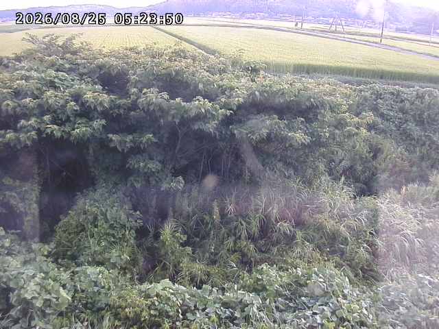 取得できませんでした