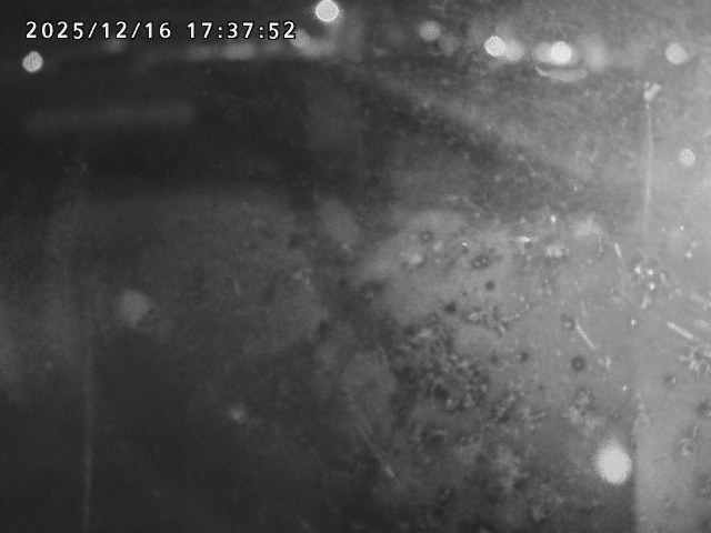 取得できませんでした