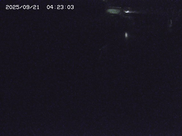 取得できませんでした
