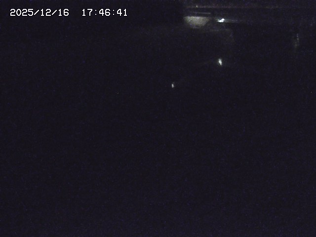 取得できませんでした