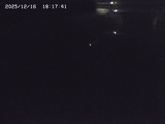 取得できませんでした