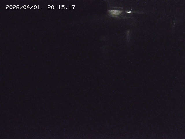 取得できませんでした