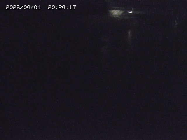 取得できませんでした