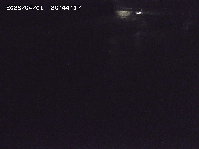 取得できませんでした