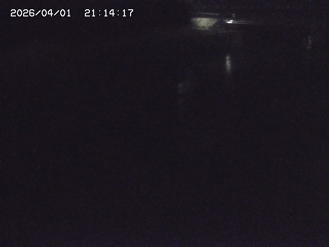 取得できませんでした