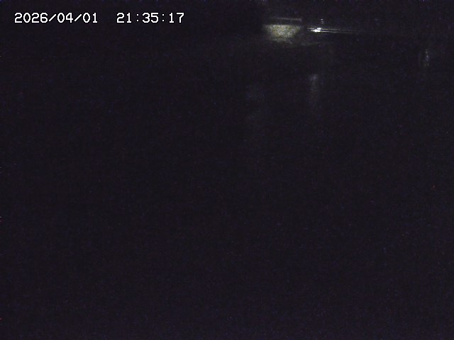 取得できませんでした