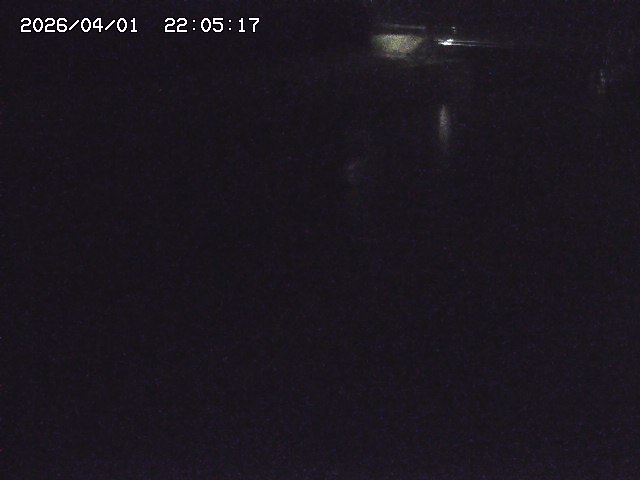 取得できませんでした