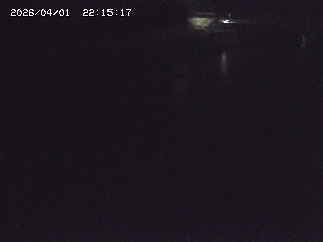 取得できませんでした