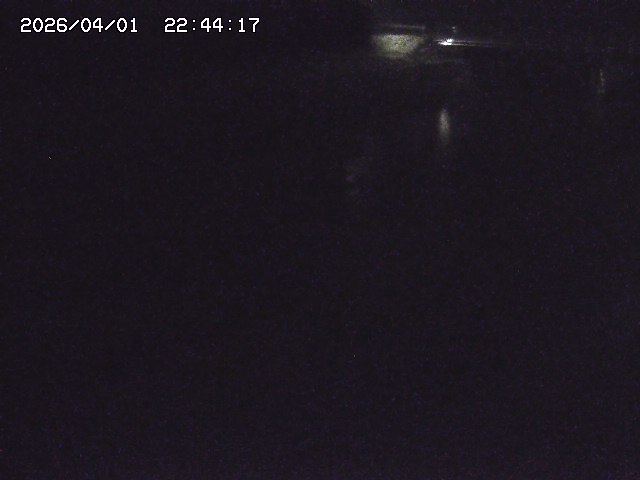 取得できませんでした