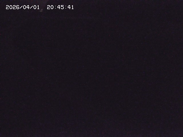 取得できませんでした