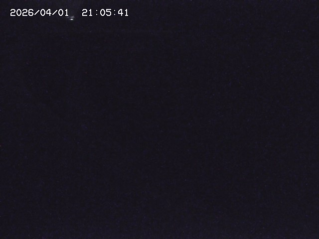 取得できませんでした