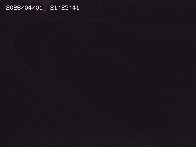 取得できませんでした