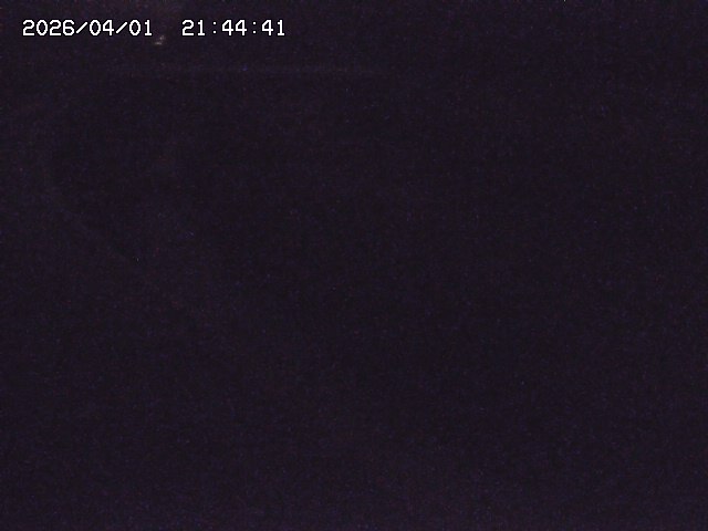 取得できませんでした