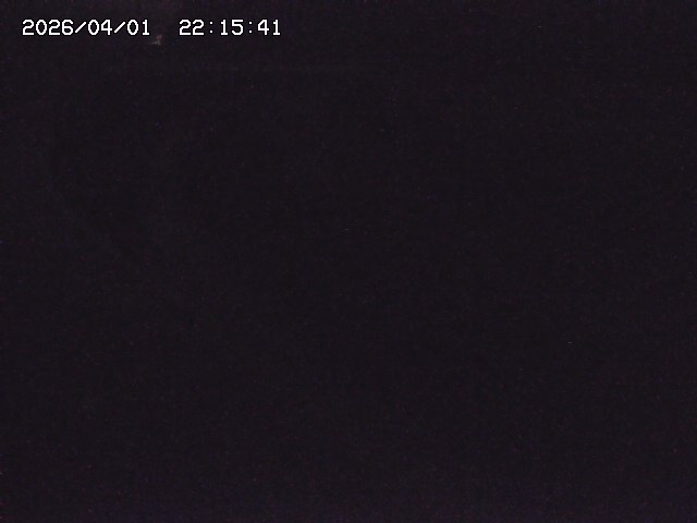 取得できませんでした