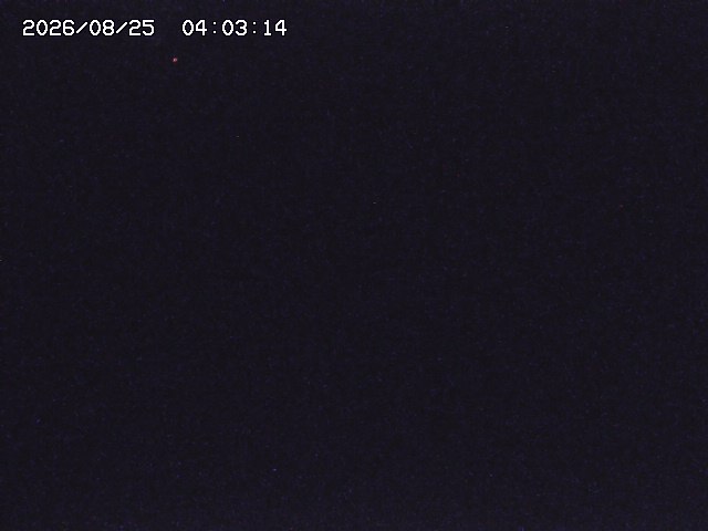 取得できませんでした