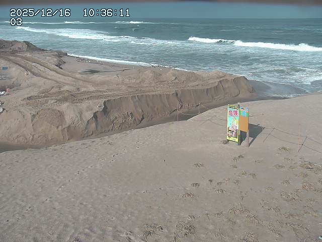 取得できませんでした