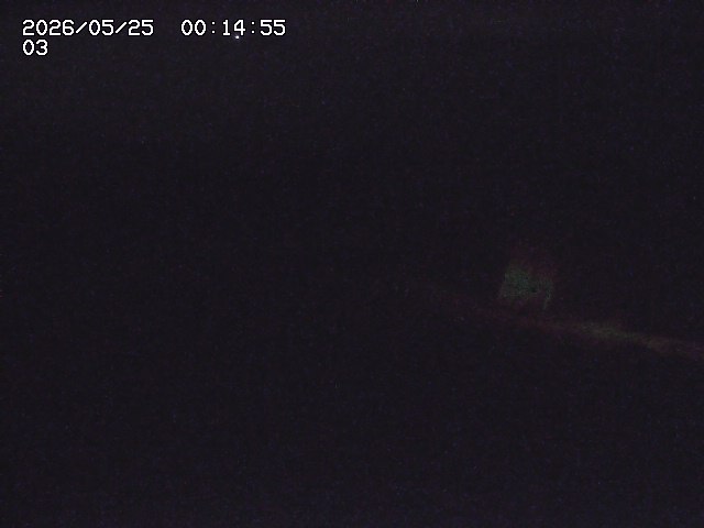 取得できませんでした