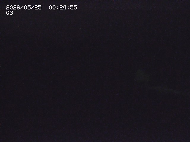 取得できませんでした