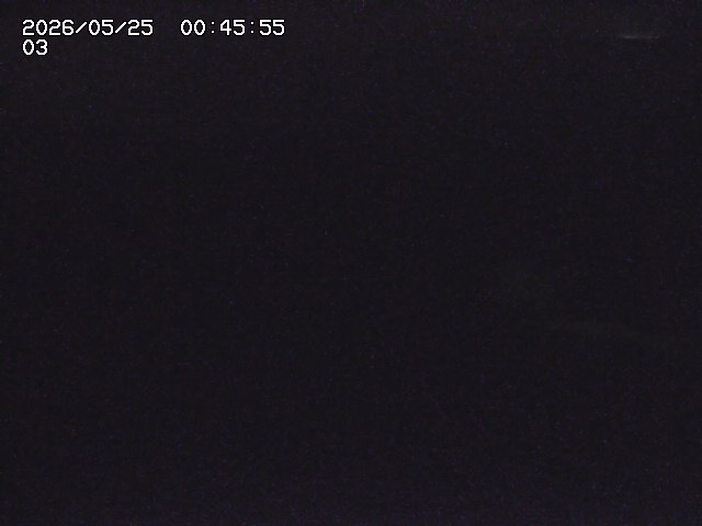 取得できませんでした