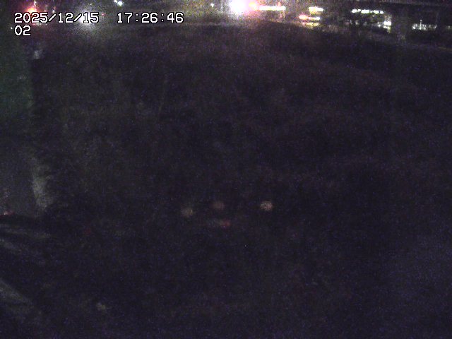 取得できませんでした