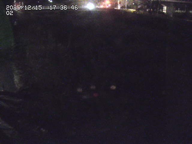 取得できませんでした