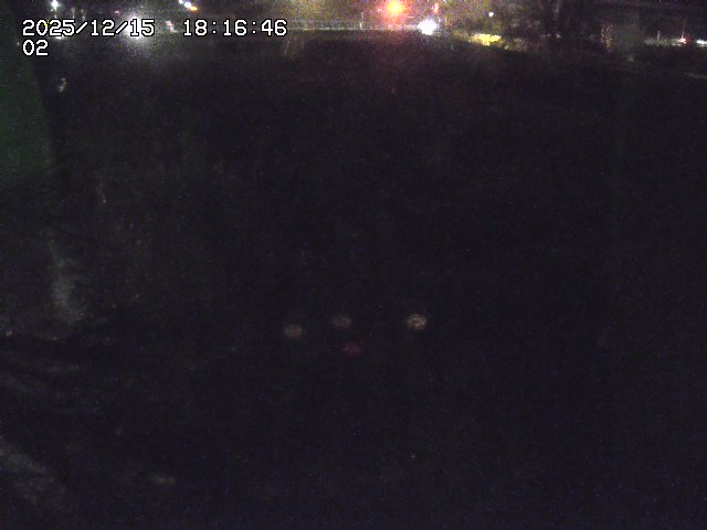 取得できませんでした