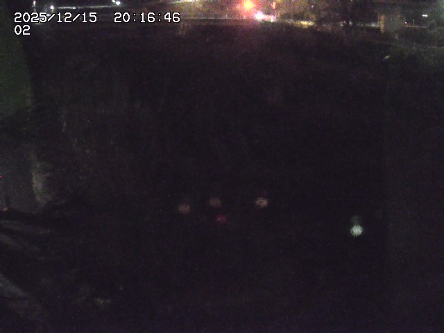 取得できませんでした