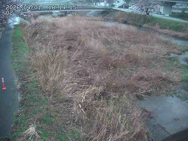 取得できませんでした