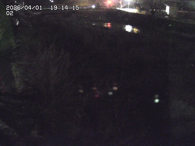 取得できませんでした