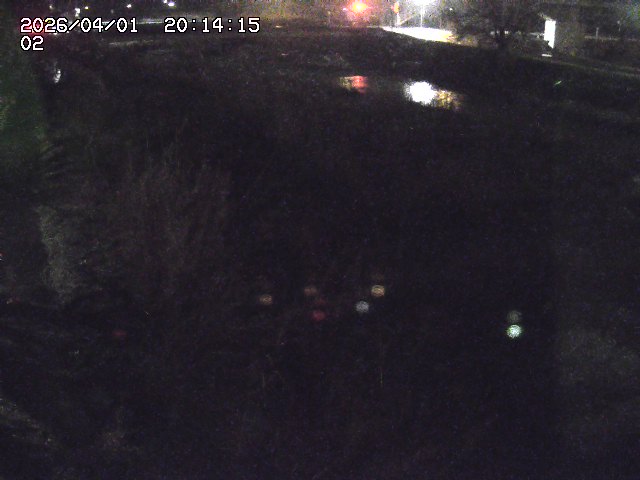 取得できませんでした