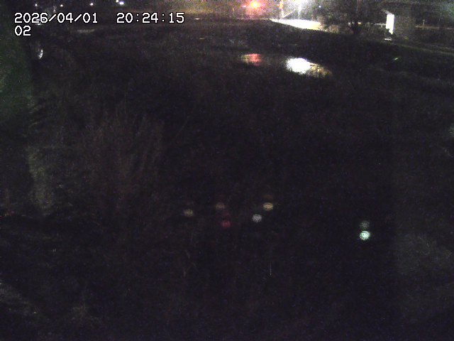 取得できませんでした