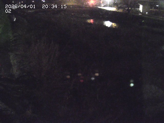 取得できませんでした