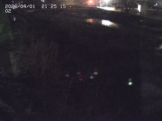 取得できませんでした