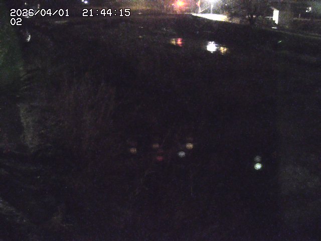 取得できませんでした