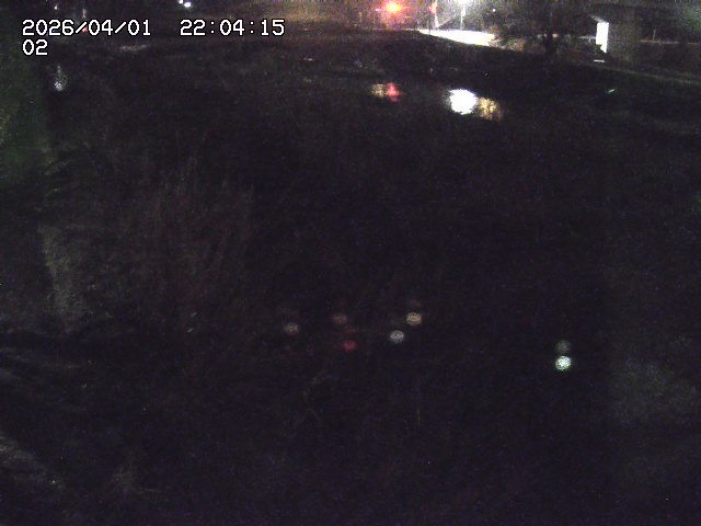 取得できませんでした