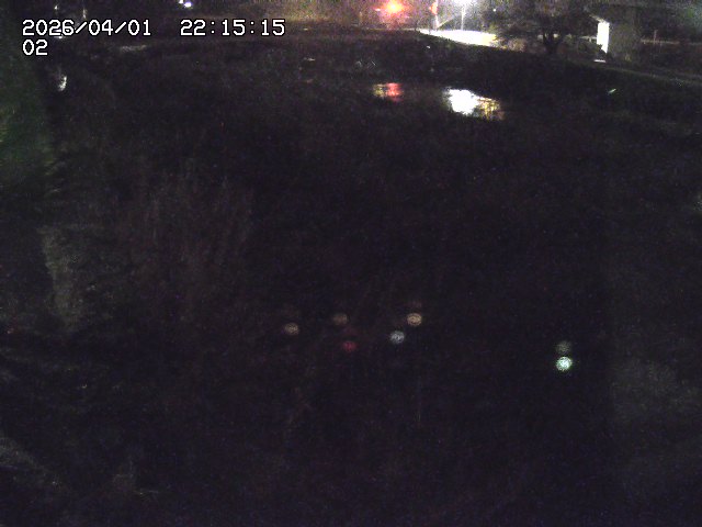 取得できませんでした